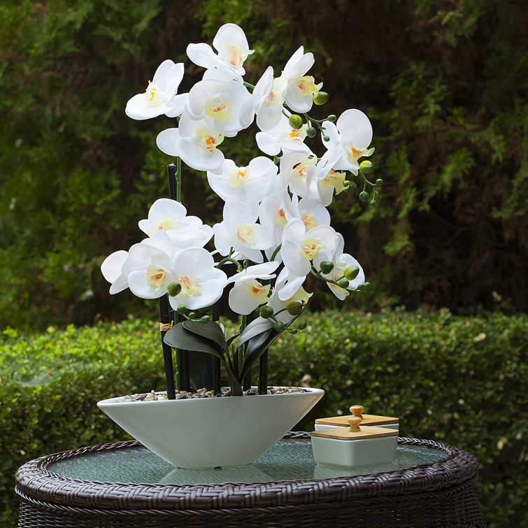 Primrue 24" Artificial Real Touch Orchids Flower In White Ceramic Pot